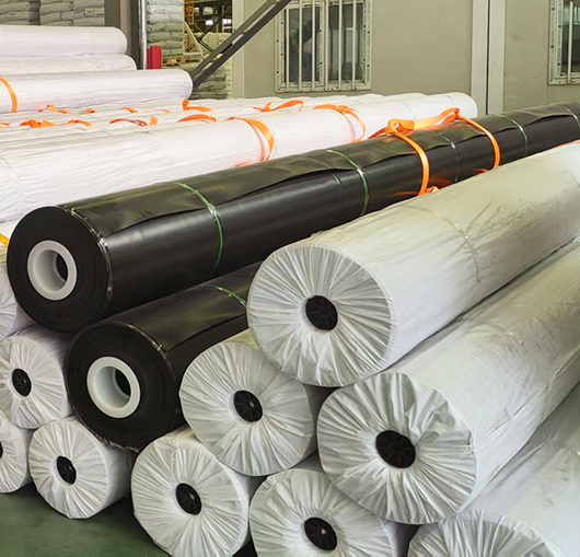 Exploring Geomembrane Geotextile: Essential Features and Uses