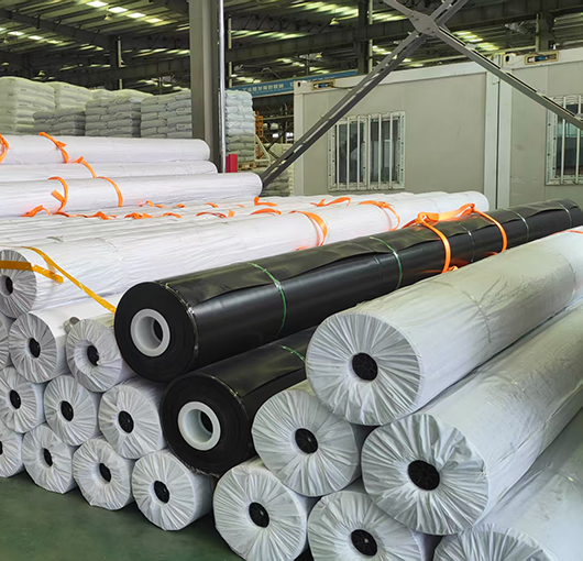 Applications of High Density Polyethylene Geomembrane in Civil Engineering