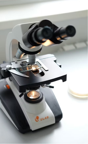 Innovative Research And Development