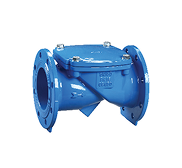 Flex Swing Check Valve