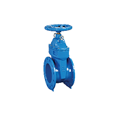 Rising Stem Resilient Seated Gate Valve