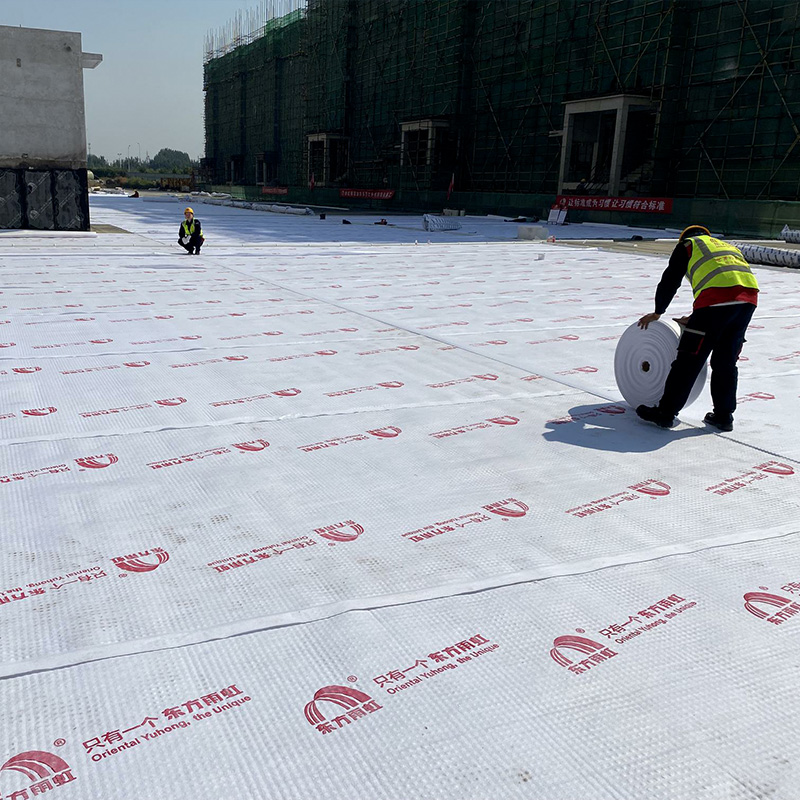 High-Strength Plastic Drainage Composite Board